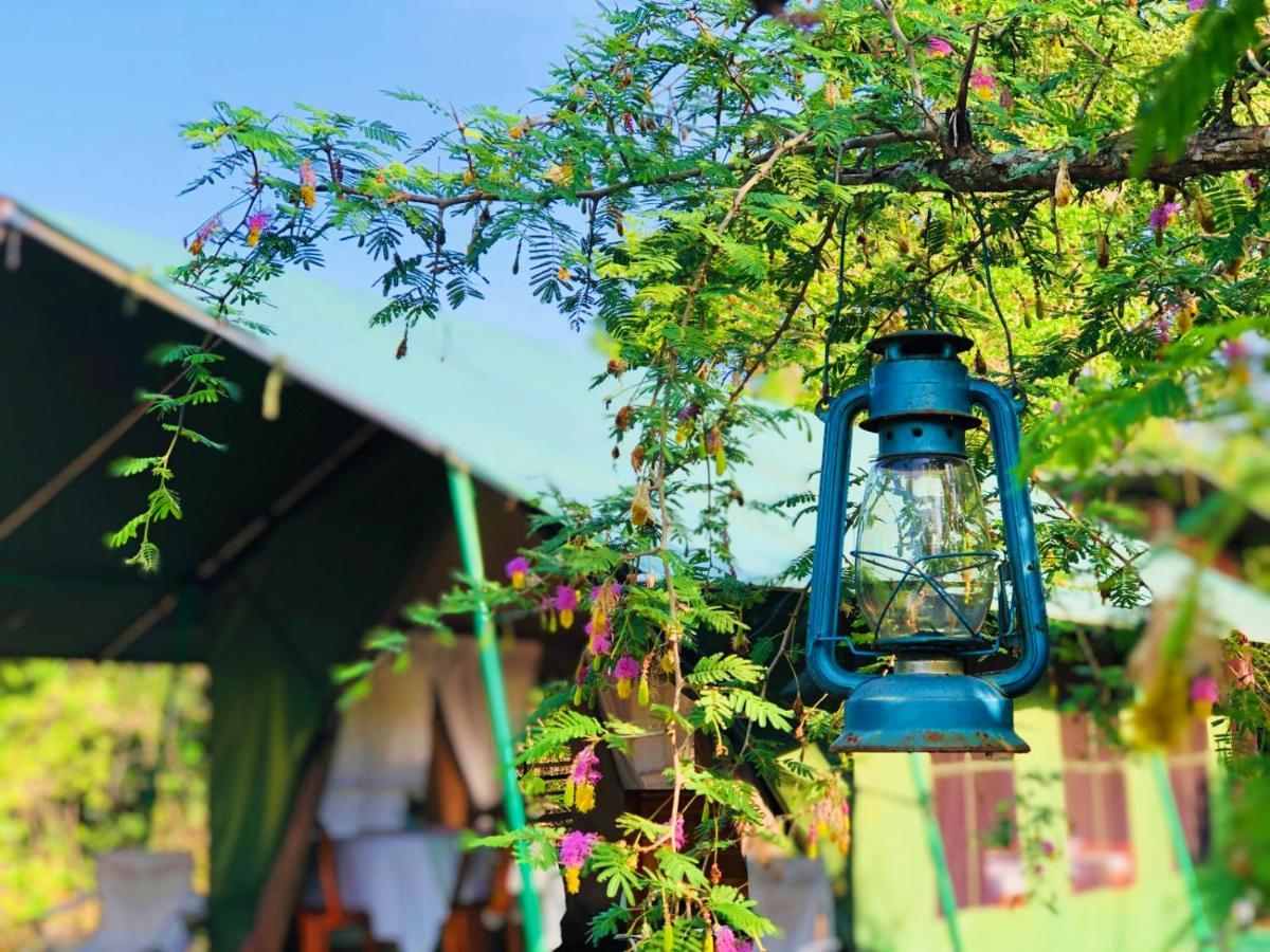 Eden Yala Hotel ภายนอก รูปภาพ