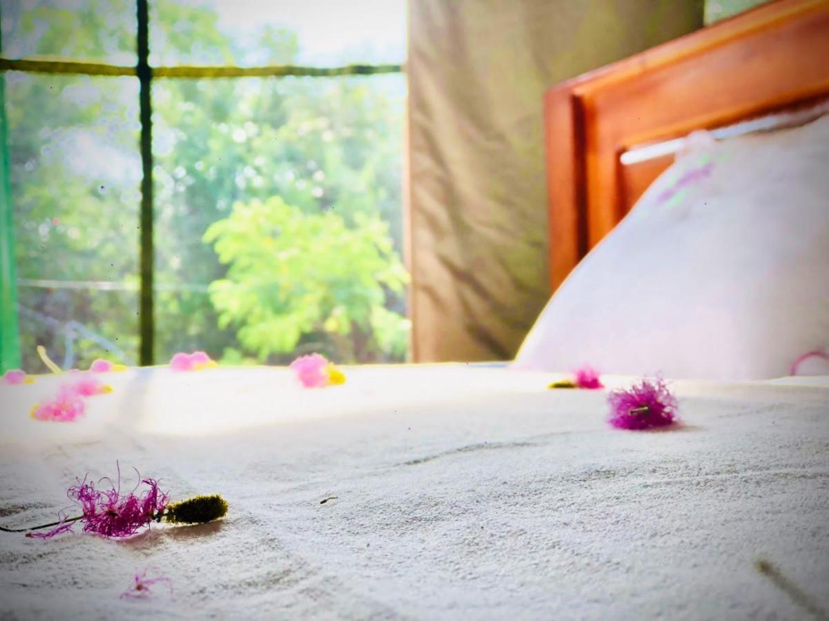 Eden Yala Hotel ภายนอก รูปภาพ