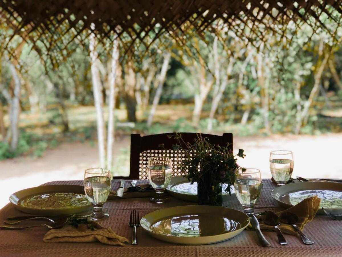 Eden Yala Hotel ภายนอก รูปภาพ