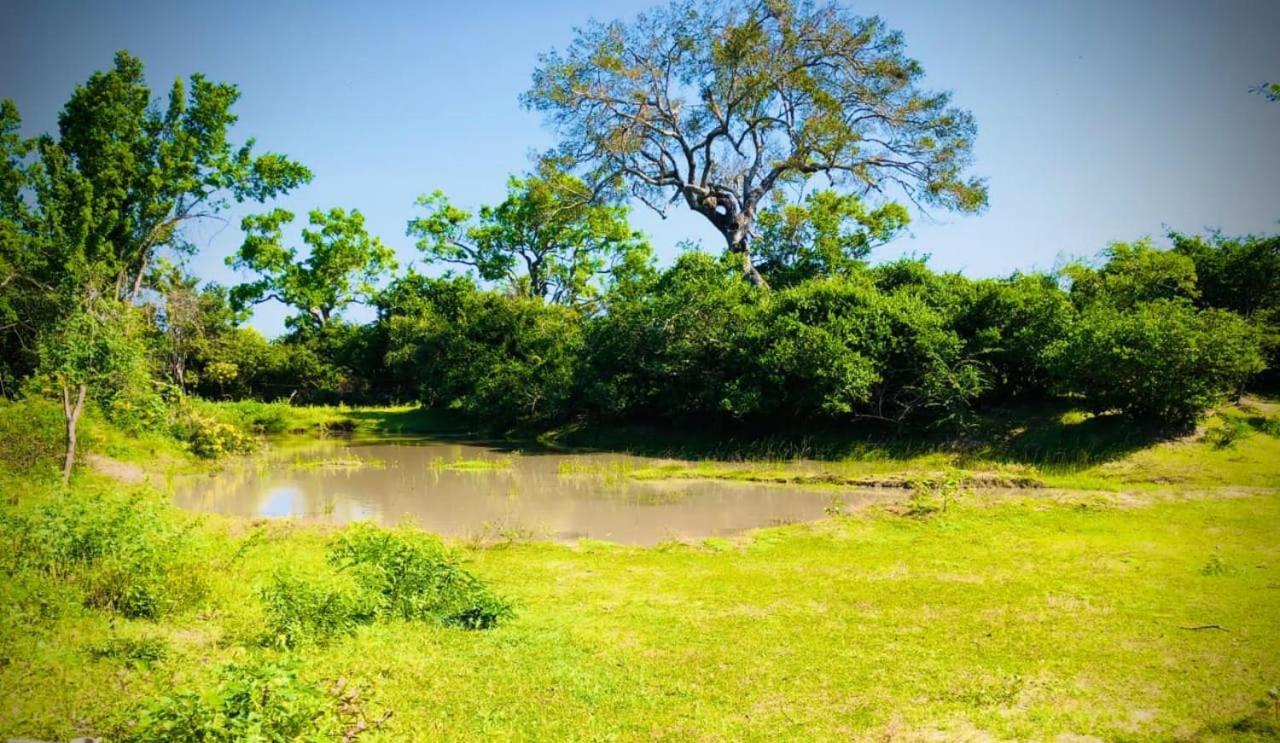 Eden Yala Hotel ภายนอก รูปภาพ