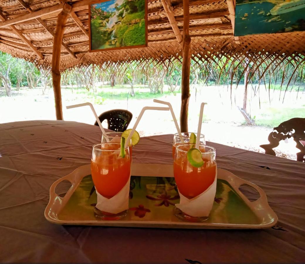 Eden Yala Hotel ภายนอก รูปภาพ