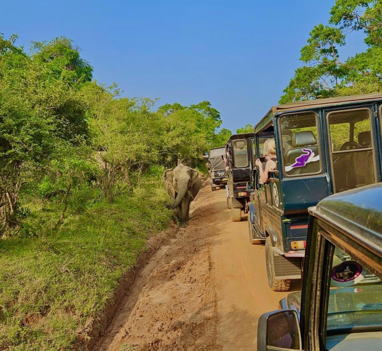 Eden Yala Hotel ภายนอก รูปภาพ