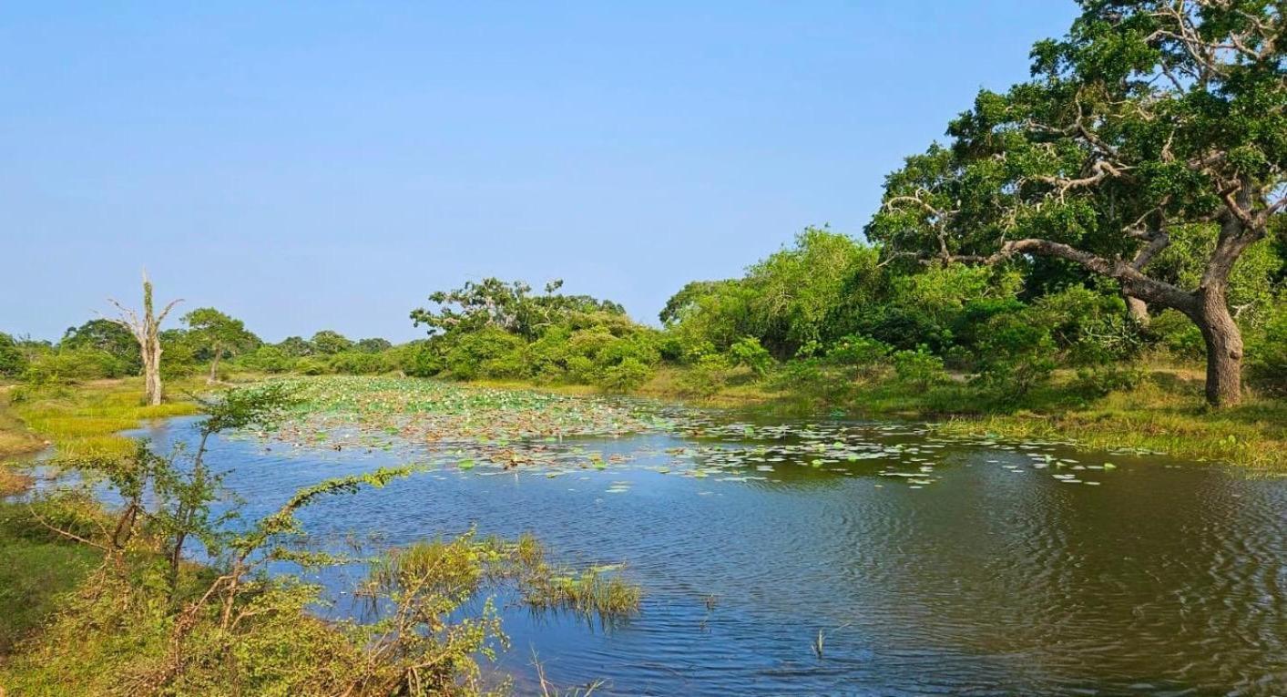Eden Yala Hotel ภายนอก รูปภาพ