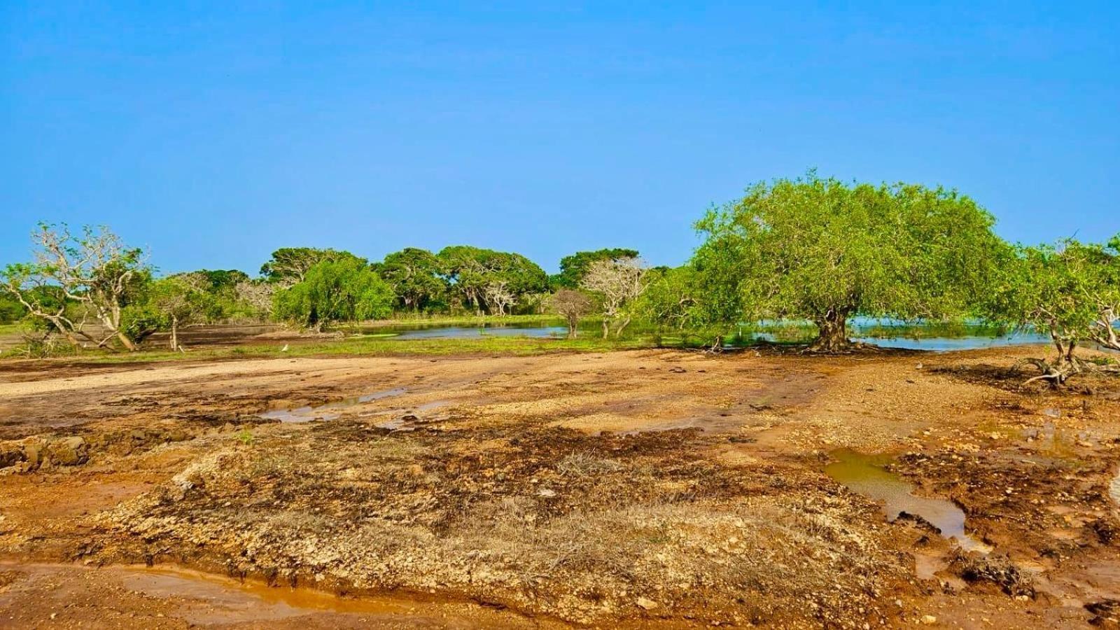 Eden Yala Hotel ภายนอก รูปภาพ
