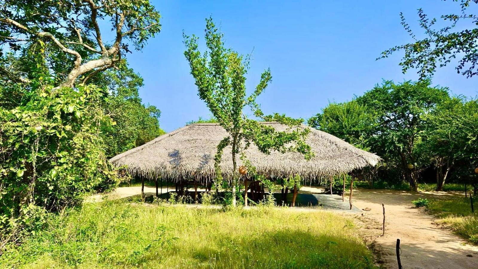 Eden Yala Hotel ภายนอก รูปภาพ