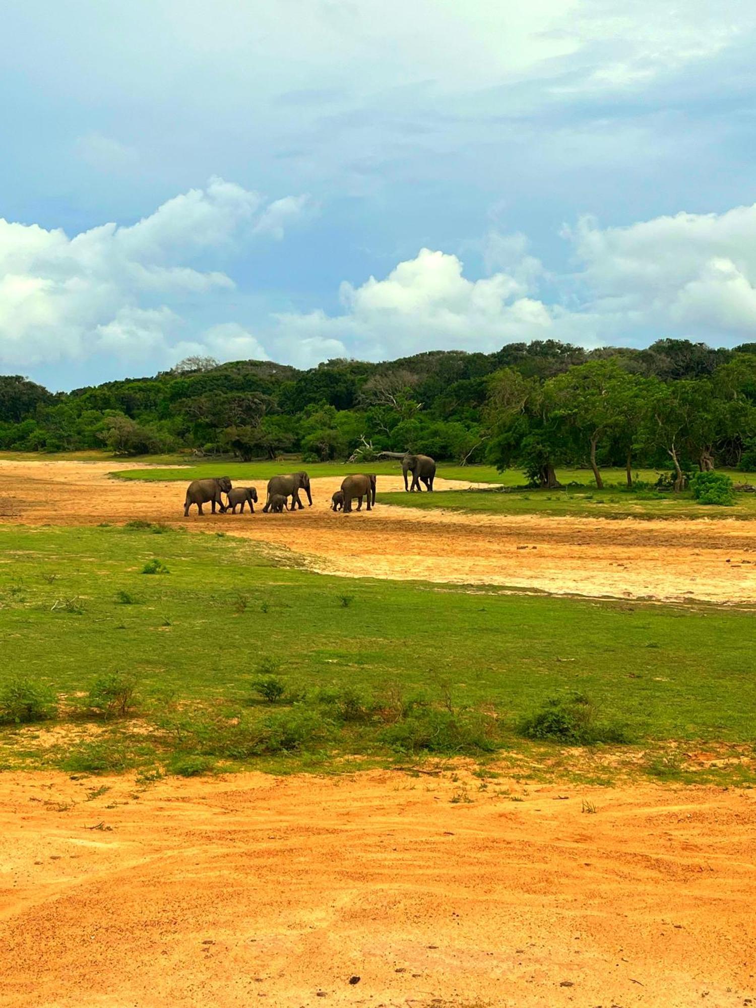 Eden Yala Hotel ภายนอก รูปภาพ