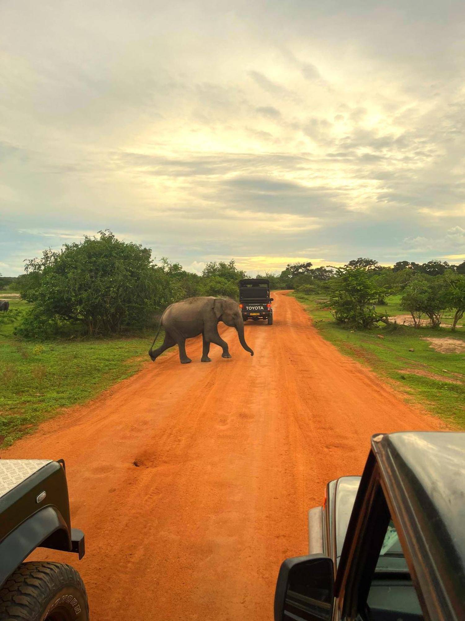 Eden Yala Hotel ภายนอก รูปภาพ